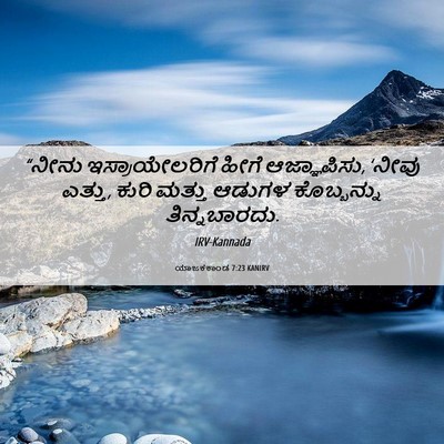 Picture 06 - ಯಾಜಕಕಾಂಡ 7:23 KANIRV - “ನೀನು - Bible Verse Picture