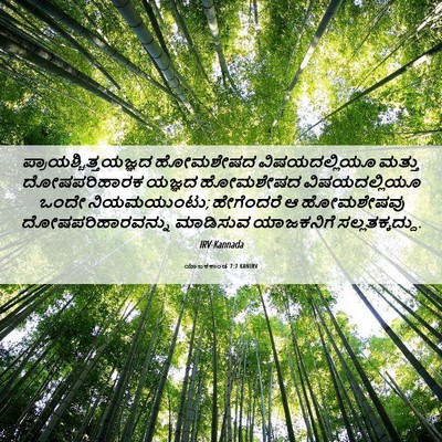 Picture 06 - ಯಾಜಕಕಾಂಡ 7:7 KANIRV -  - Bible Verse Picture