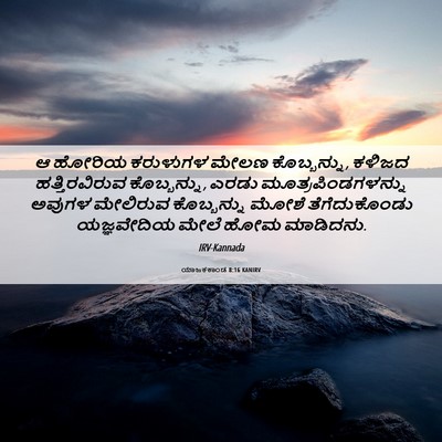 Picture 06 - ಯಾಜಕಕಾಂಡ 8:16 KANIRV - ಆ ಹೋರಿಯ ಕರುಳುಗಳ - Bible Verse Picture