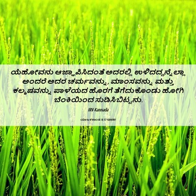 Picture 06 - ಯಾಜಕಕಾಂಡ 8:17 KANIRV - ಯೆಹೋವನು - Bible Verse Picture