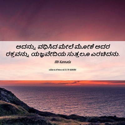Picture 06 - ಯಾಜಕಕಾಂಡ 8:19 KANIRV - ಅದನ್ನು ವಧಿಸಿದ - Bible Verse Picture