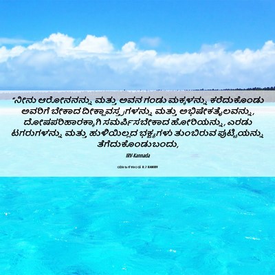 Picture 06 - ಯಾಜಕಕಾಂಡ 8:2 KANIRV - “ನೀನು ಆರೋನನನ್ನು - Bible Verse Picture