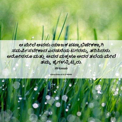 Picture 06 - ಯಾಜಕಕಾಂಡ 8:22 KANIRV - ಆ ಮೇಲೆ ಅವನು ಯಾಜಕ - Bible Verse Picture