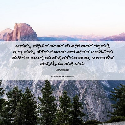 Picture 06 - ಯಾಜಕಕಾಂಡ 8:23 KANIRV - ಅದನ್ನು ವಧಿಸಿದ - Bible Verse Picture