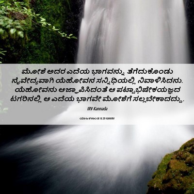 Picture 06 - ಯಾಜಕಕಾಂಡ 8:29 KANIRV - ಮೋಶೆ ಅದರ ಎದೆಯ - Bible Verse Picture