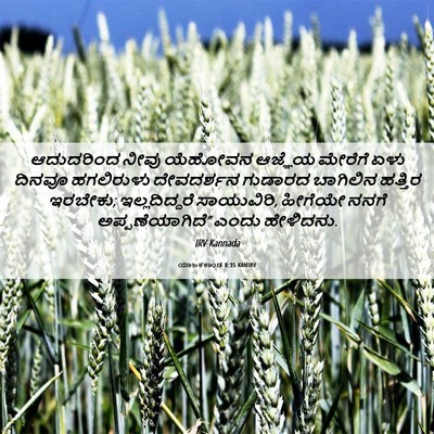 Picture 06 - ಯಾಜಕಕಾಂಡ 8:35 KANIRV - ಆದುದರಿಂದ ನೀವು - Bible Verse Picture