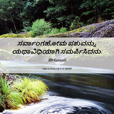 Picture 06 - ಯಾಜಕಕಾಂಡ 9:16 KANIRV - ಸರ್ವಾಂಗಹೋಮ - Bible Verse Picture