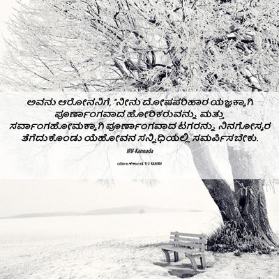 Picture 06 - ಯಾಜಕಕಾಂಡ 9:2 KANIRV - ಅವನು ಆರೋನನಿಗೆ, - Bible Verse Picture