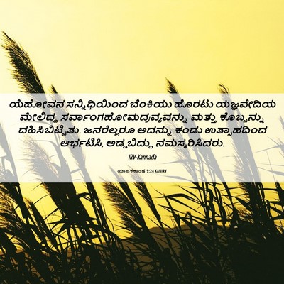Picture 06 - ಯಾಜಕಕಾಂಡ 9:24 KANIRV - ಯೆಹೋವನ - Bible Verse Picture