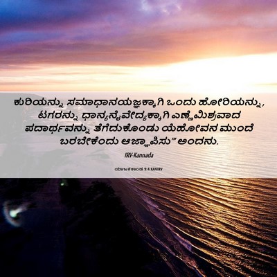 Picture 06 - ಯಾಜಕಕಾಂಡ 9:4 KANIRV - ಕುರಿಯನ್ನು - Bible Verse Picture