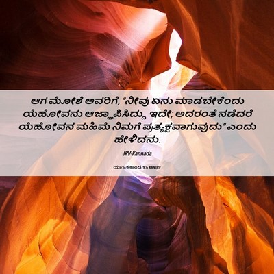 Picture 06 - ಯಾಜಕಕಾಂಡ 9:6 KANIRV - ಆಗ ಮೋಶೆ ಅವರಿಗೆ, - Bible Verse Picture