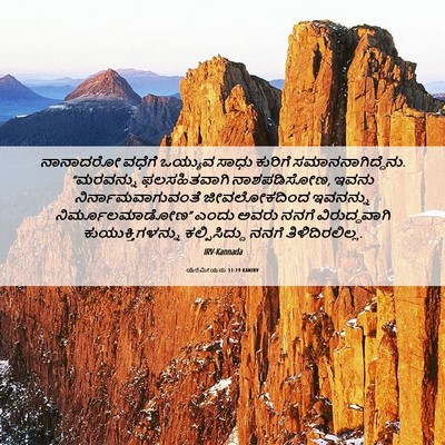 Picture 06 - ಯೆರೆಮೀಯನು 11:19 KANIRV - ನಾನಾದರೋ ವಧೆಗೆ - Bible Verse Picture