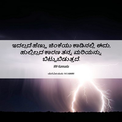 Picture 06 - ಯೆರೆಮೀಯನು 14:5 KANIRV - ಇದಲ್ಲದೆ ಹೆಣ್ಣು - Bible Verse Picture