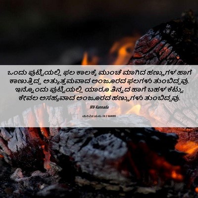 Picture 06 - ಯೆರೆಮೀಯನು 24:2 KANIRV - ಒಂದು ಪುಟ್ಟಿಯಲ್ಲಿ - Bible Verse Picture