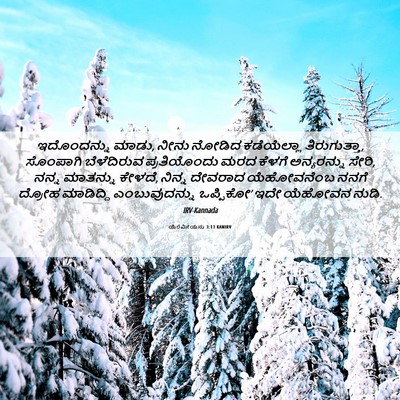 Picture 06 - ಯೆರೆಮೀಯನು 3:13 KANIRV - ಇದೊಂದನ್ನು ಮಾಡು, - Bible Verse Picture
