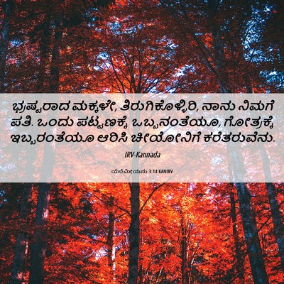Picture 06 - ಯೆರೆಮೀಯನು 3:14 KANIRV - ಭ್ರಷ್ಟರಾದ ಮಕ್ಕಳೇ, - Bible Verse Picture