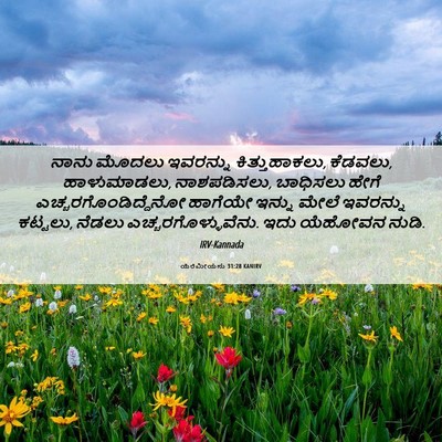 Picture 06 - ಯೆರೆಮೀಯನು 31:28 KANIRV - ನಾನು ಮೊದಲು - Bible Verse Picture