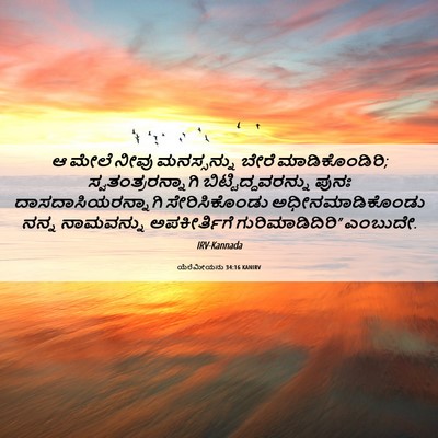 Picture 06 - ಯೆರೆಮೀಯನು 34:16 KANIRV - ಆ ಮೇಲೆ ನೀವು - Bible Verse Picture