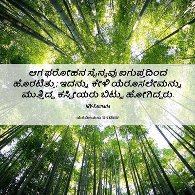 Picture 06 - ಯೆರೆಮೀಯನು 37:5 KANIRV - ಆಗ ಫರೋಹನ ಸೈನ್ಯವು - Bible Verse Picture