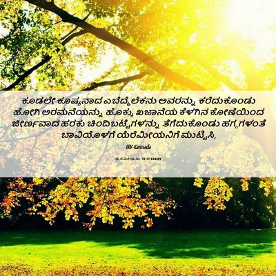 Picture 06 - ಯೆರೆಮೀಯನು 38:11 KANIRV - ಕೂಡಲೇ ಕೂಷ್ಯನಾದ - Bible Verse Picture