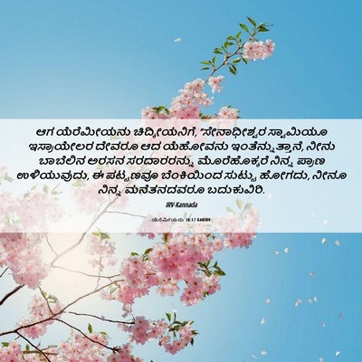 Picture 06 - ಯೆರೆಮೀಯನು 38:17 KANIRV - ಆಗ ಯೆರೆಮೀಯನು - Bible Verse Picture
