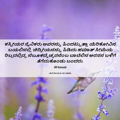 Picture 06 - ಯೆರೆಮೀಯನು 39:5 KANIRV - ಕಸ್ದೀಯರ ಸೈನಿಕರು - Bible Verse Picture