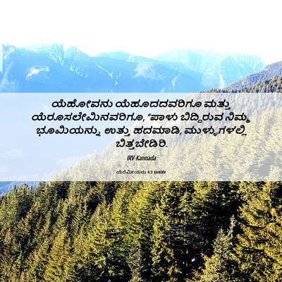 Picture 06 - ಯೆರೆಮೀಯನು 4:3 KANIRV - ಯೆಹೋವನು - Bible Verse Picture