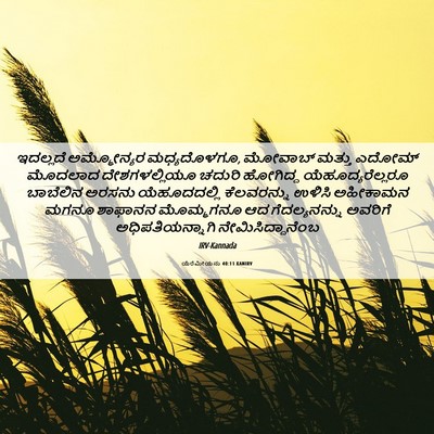 Picture 06 - ಯೆರೆಮೀಯನು 40:11 KANIRV - ಇದಲ್ಲದೆ ಅಮ್ಮೋನ್ಯರ - Bible Verse Picture