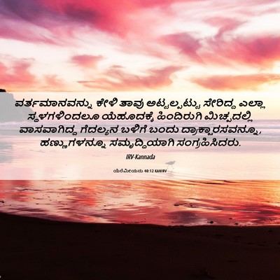 Picture 06 - ಯೆರೆಮೀಯನು 40:12 KANIRV - ವರ್ತಮಾನವನ್ನು ಕೇಳಿ - Bible Verse Picture