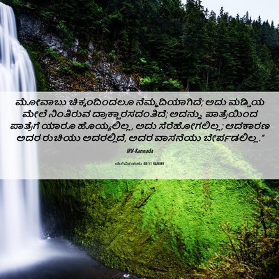 Picture 06 - ಯೆರೆಮೀಯನು 48:11 KANIRV - ಮೋವಾಬು - Bible Verse Picture