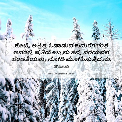 Picture 06 - ಯೆರೆಮೀಯನು 5:8 KANIRV - ಕೊಬ್ಬಿ ಅತ್ತಿತ್ತ - Bible Verse Picture