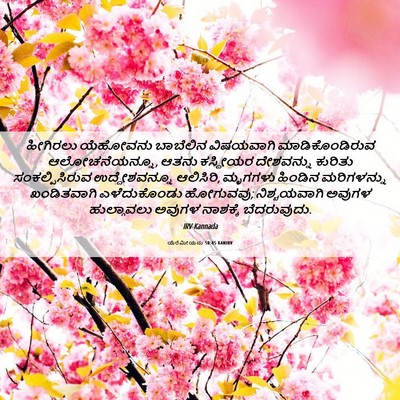 Picture 06 - ಯೆರೆಮೀಯನು 50:45 KANIRV - ಹೀಗಿರಲು ಯೆಹೋವನು - Bible Verse Picture