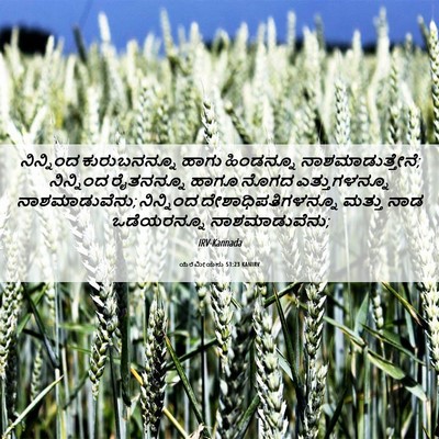 Picture 06 - ಯೆರೆಮೀಯನು 51:23 KANIRV - ನಿನ್ನಿಂದ - Bible Verse Picture