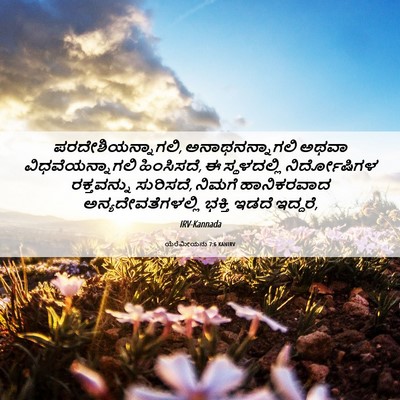 Picture 06 - ಯೆರೆಮೀಯನು 7:6 KANIRV - ಪರದೇಶಿಯನ್ನಾಗಲಿ, - Bible Verse Picture