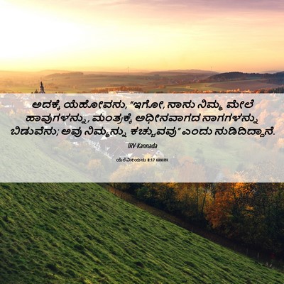 Picture 06 - ಯೆರೆಮೀಯನು 8:17 KANIRV - ಅದಕ್ಕೆ ಯೆಹೋವನು, - Bible Verse Picture