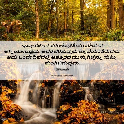 Picture 06 - ಯೆಶಾಯನು 10:17 KANIRV - ಇಸ್ರಾಯೇಲರ - Bible Verse Picture