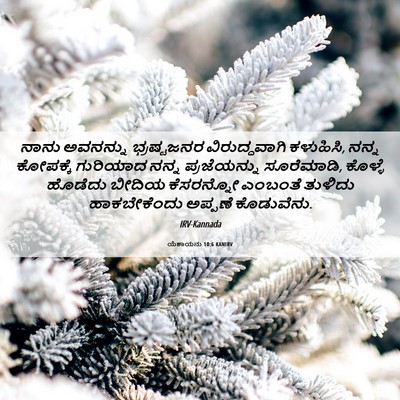 Picture 06 - ಯೆಶಾಯನು 10:6 KANIRV - ನಾನು ಅವನನ್ನು - Bible Verse Picture