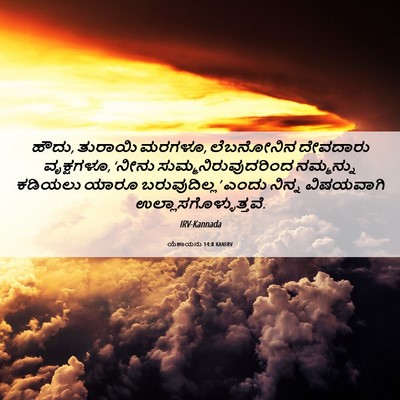 Picture 06 - ಯೆಶಾಯನು 14:8 KANIRV - ಹೌದು, ತುರಾಯಿ ಮರಗಳೂ, - Bible Verse Picture