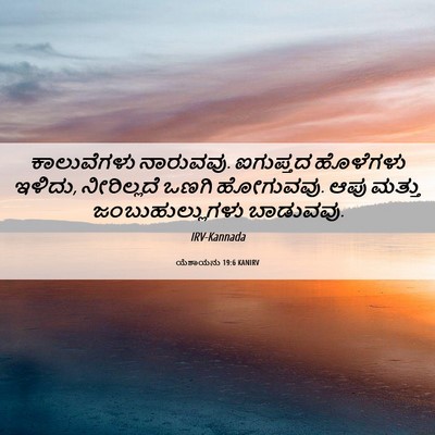 Picture 06 - ಯೆಶಾಯನು 19:6 KANIRV - ಕಾಲುವೆಗಳು - Bible Verse Picture