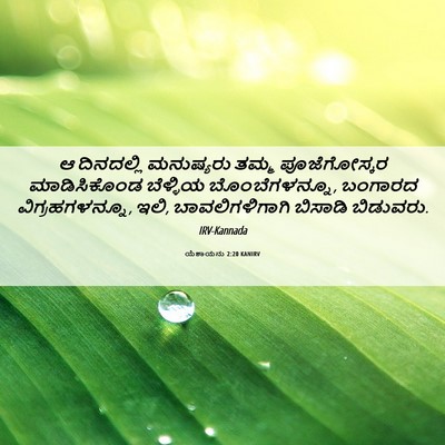 Picture 06 - ಯೆಶಾಯನು 2:20 KANIRV - ಆ ದಿನದಲ್ಲಿ - Bible Verse Picture
