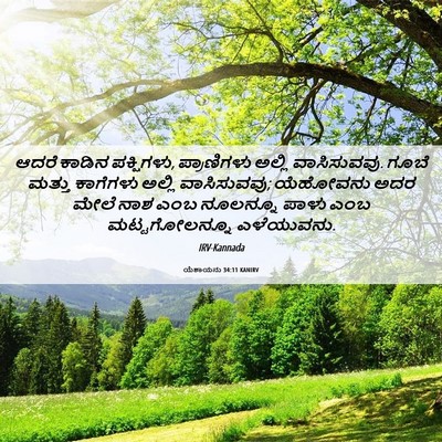 Picture 06 - ಯೆಶಾಯನು 34:11 KANIRV - ಆದರೆ ಕಾಡಿನ - Bible Verse Picture