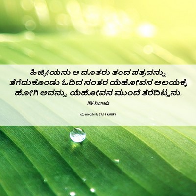 Picture 06 - ಯೆಶಾಯನು 37:14 KANIRV - ಹಿಜ್ಕೀಯನು ಆ ದೂತರು - Bible Verse Picture