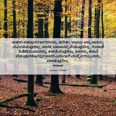 Picture 06 - ಯೆಶಾಯನು 37:33 KANIRV - ಆತನು ಅಶ್ಶೂರದ - Bible Verse Picture
