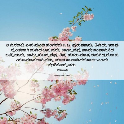 Picture 06 - ಯೆಶಾಯನು 4:1 KANIRV - ಆ ದಿನದಲ್ಲಿ ಏಳು - Bible Verse Picture