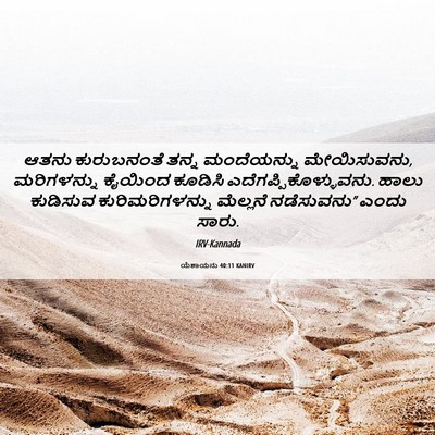 Picture 06 - ಯೆಶಾಯನು 40:11 KANIRV - ಆತನು ಕುರುಬನಂತೆ - Bible Verse Picture