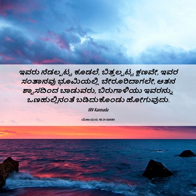 Picture 06 - ಯೆಶಾಯನು 40:24 KANIRV - ಇವರು ನೆಡಲ್ಪಟ್ಟ - Bible Verse Picture