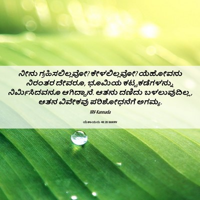 Picture 06 - ಯೆಶಾಯನು 40:28 KANIRV - ನೀನು - Bible Verse Picture