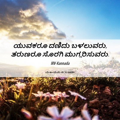 Picture 06 - ಯೆಶಾಯನು 40:30 KANIRV - ಯುವಕರೂ ದಣಿದು - Bible Verse Picture