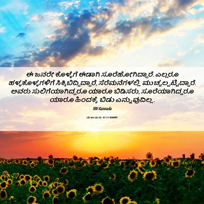Picture 06 - ಯೆಶಾಯನು 42:22 KANIRV - ಈ ಜನರೇ ಕೊಳ್ಳೆಗೆ - Bible Verse Picture