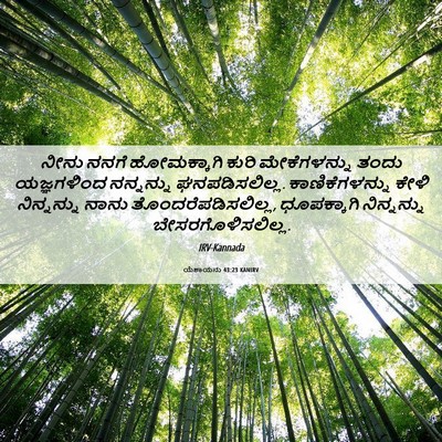 Picture 06 - ಯೆಶಾಯನು 43:23 KANIRV - ನೀನು ನನಗೆ - Bible Verse Picture